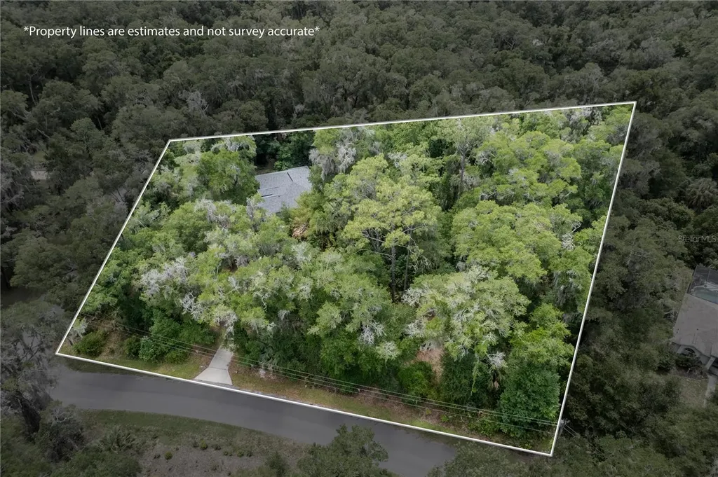 7999 SW 187th Avenue Dunnellon FL 34432