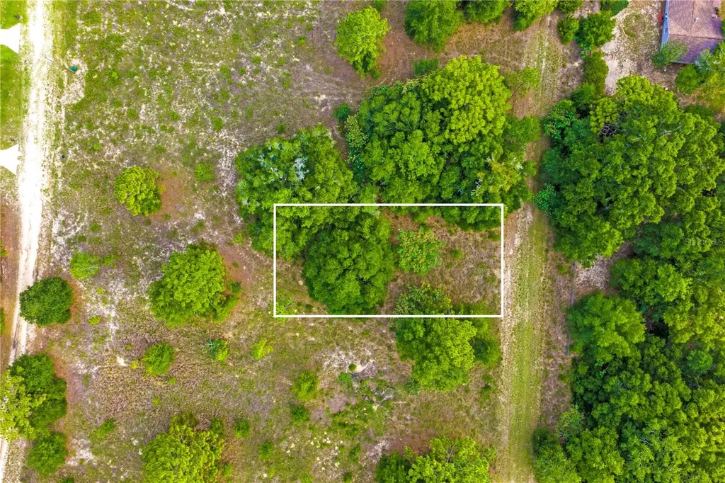 000 SW 146 Court Ocala FL 34481