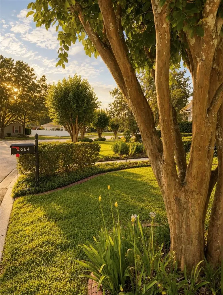 10384 SE 41st Terrace Belleview FL 34420