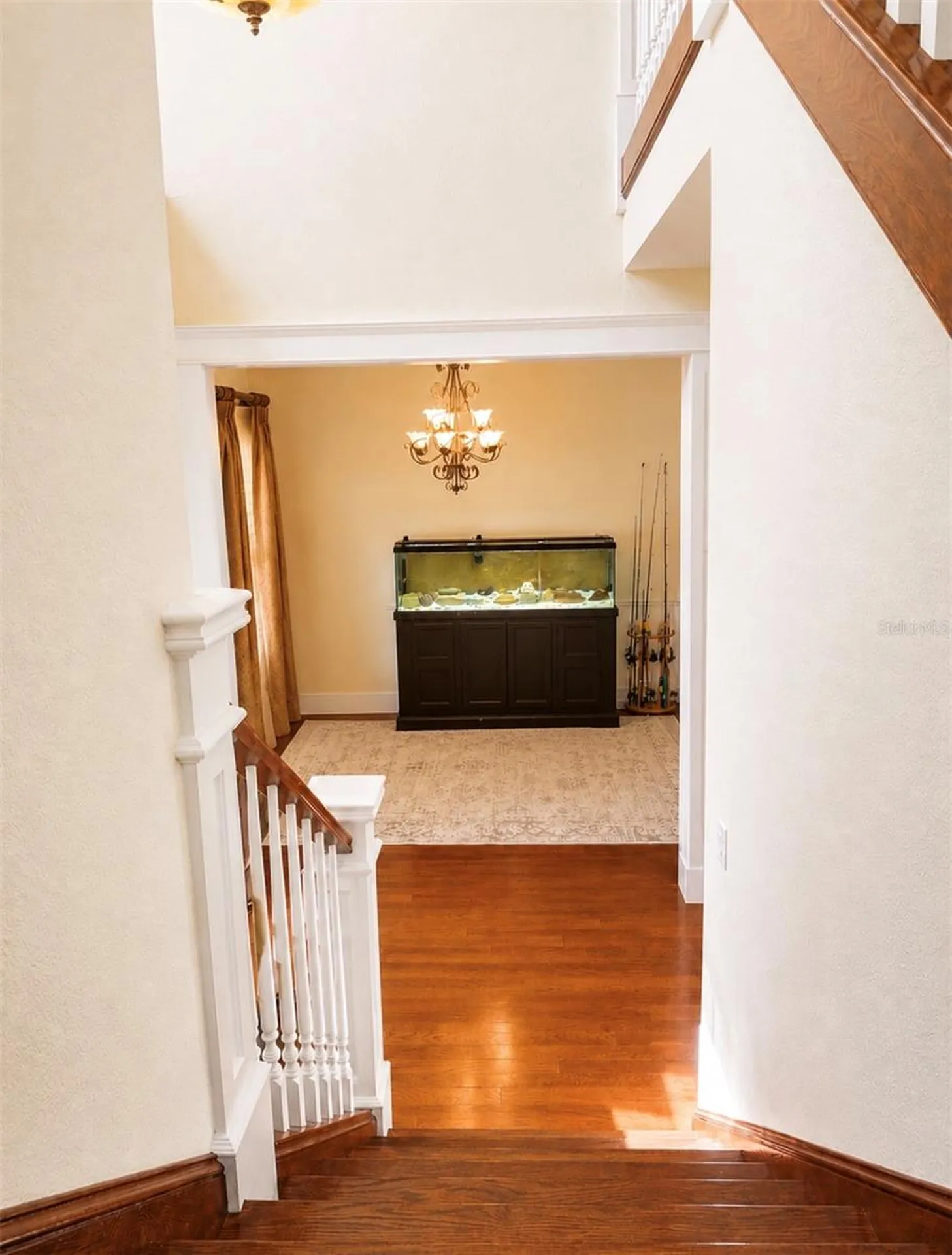 10384 SE 41st Terrace Belleview FL 34420