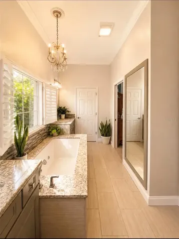 10384 SE 41st Terrace Belleview FL 34420