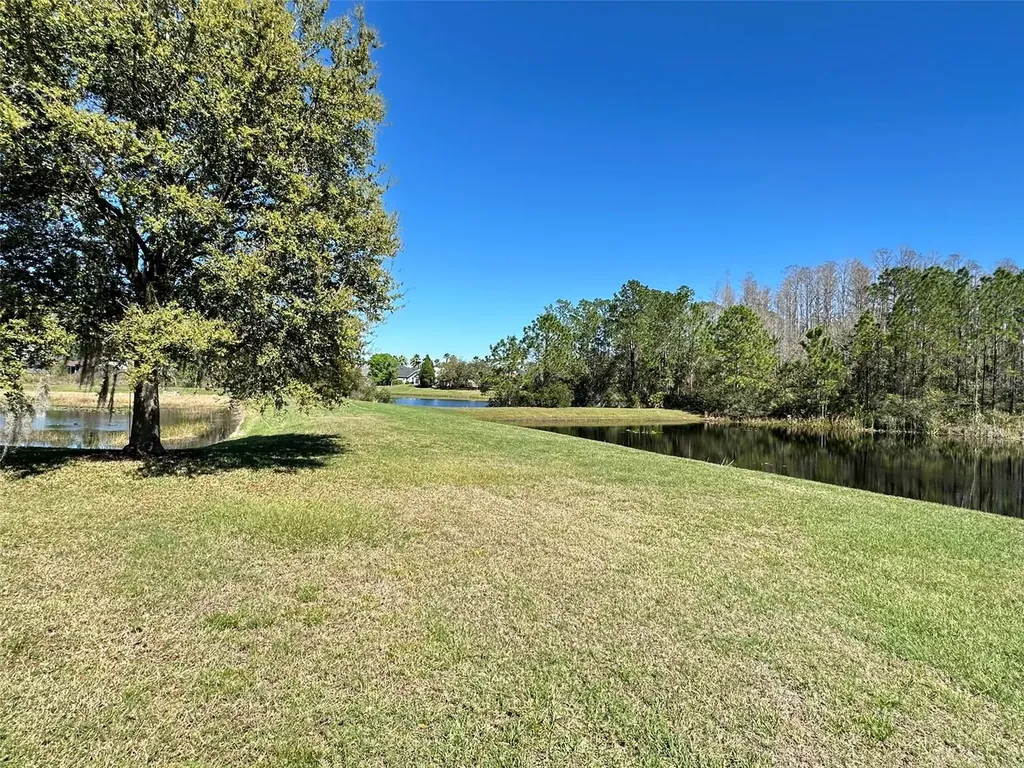 8120 Turkey Hill Court Tampa FL 33647