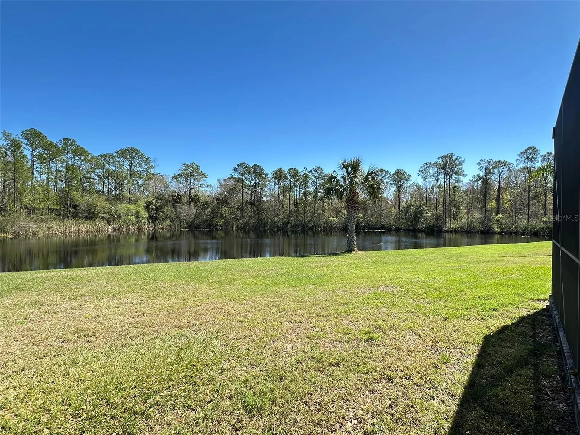 8120 Turkey Hill Court Tampa FL 33647