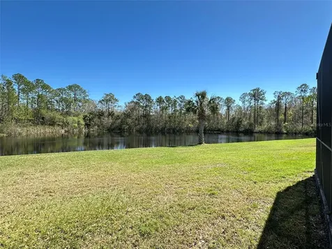 8120 Turkey Hill Court Tampa FL 33647