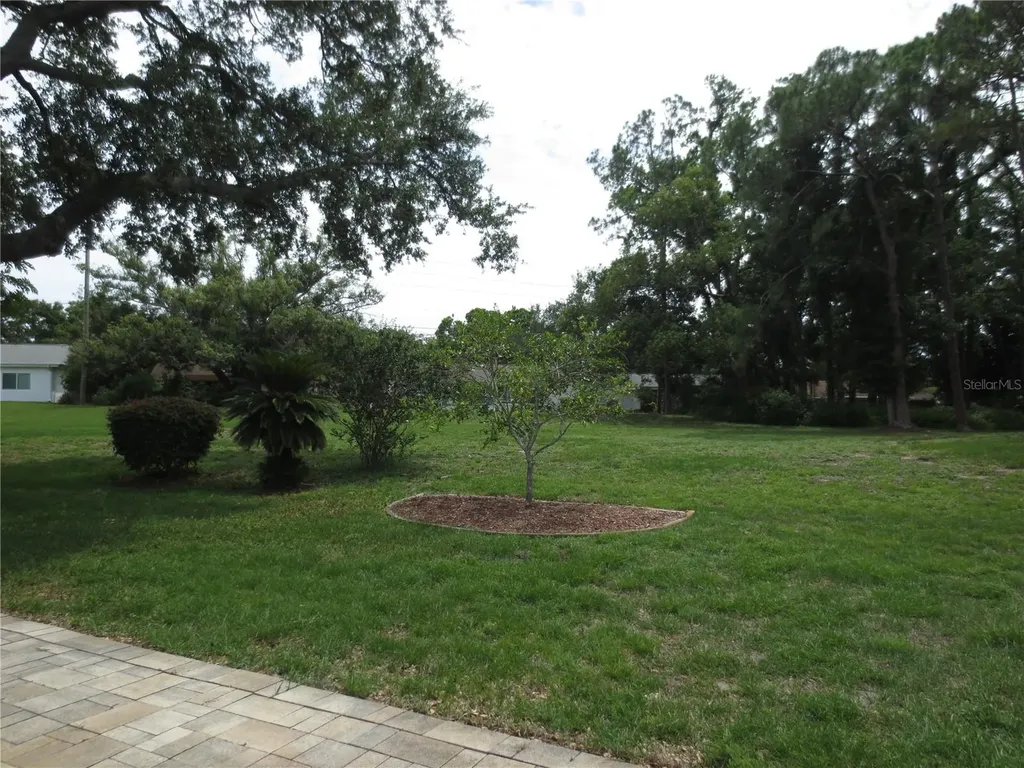 3132 Brunswick Circle Palm Harbor FL 34684