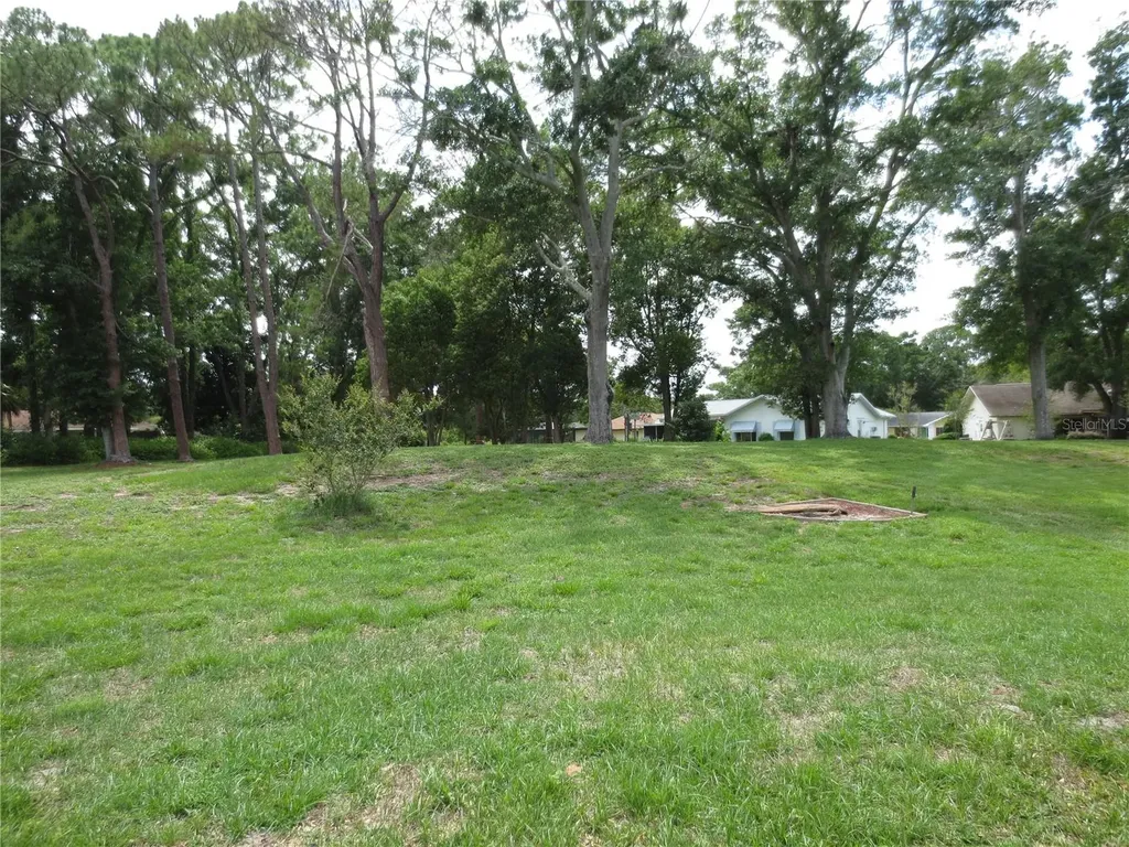 3132 Brunswick Circle Palm Harbor FL 34684