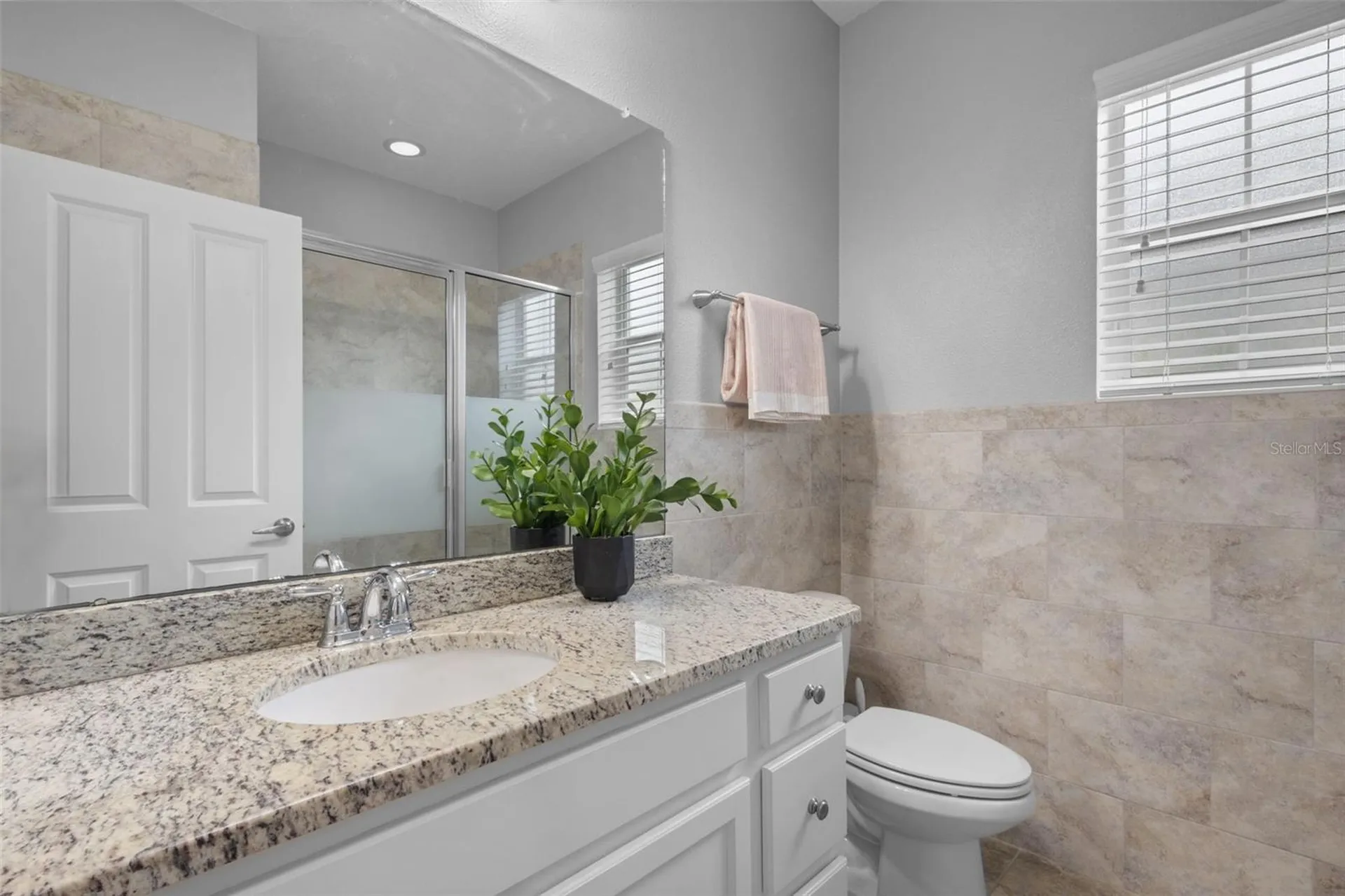 423 Aurora Way Oldsmar FL 34677