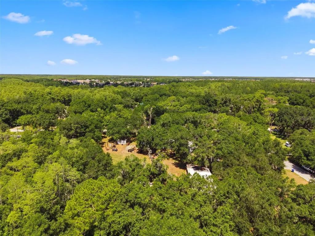 17214 Chinaberry Road Lutz FL 33558
