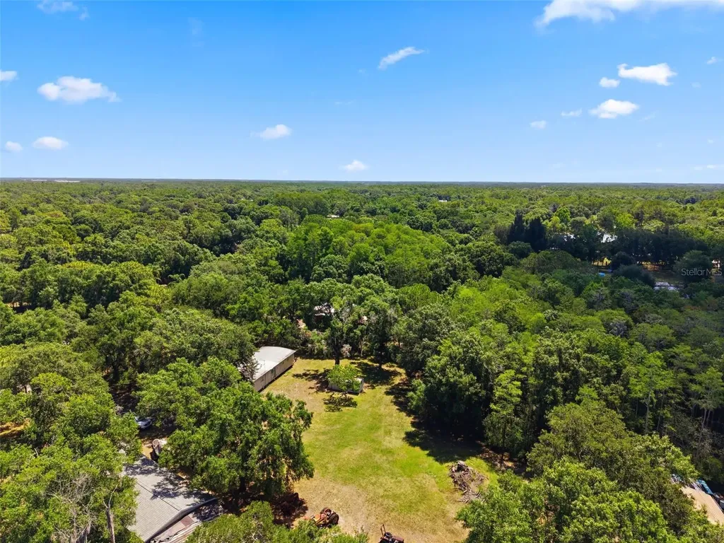 17214 Chinaberry Road Lutz FL 33558