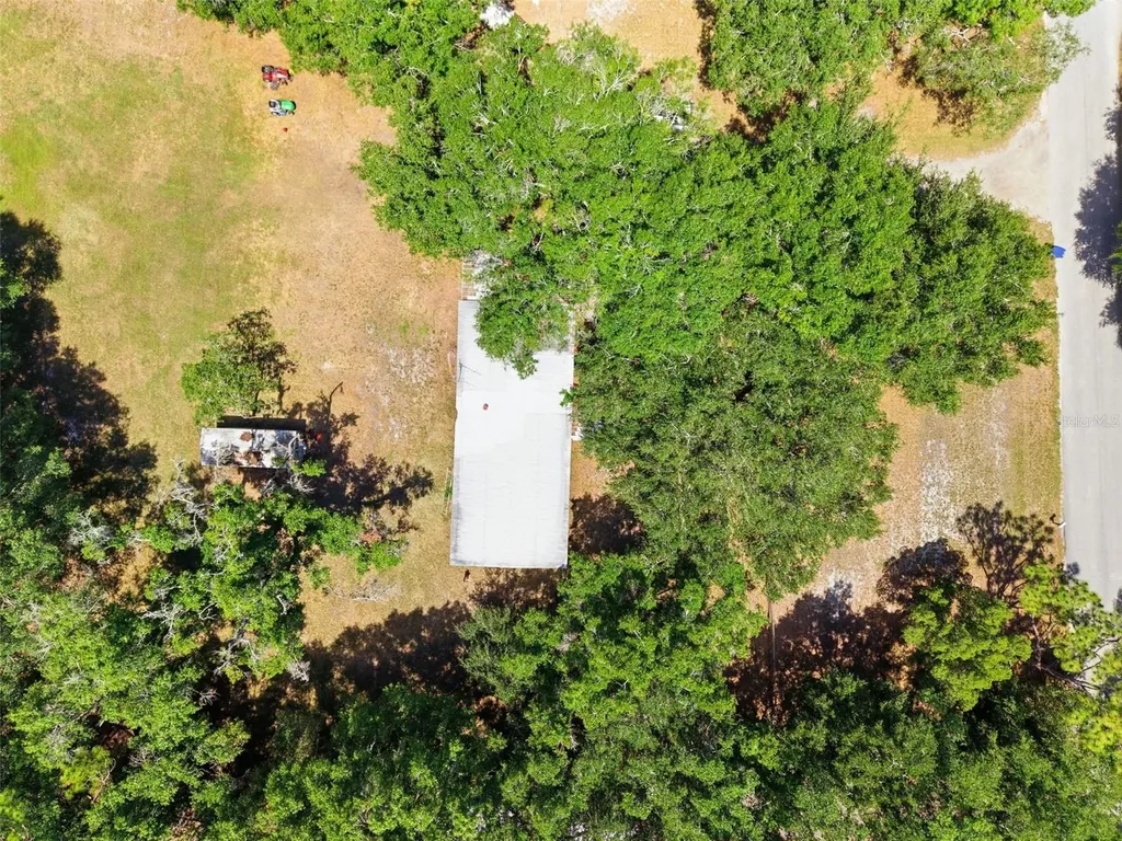 17214 Chinaberry Road Lutz FL 33558