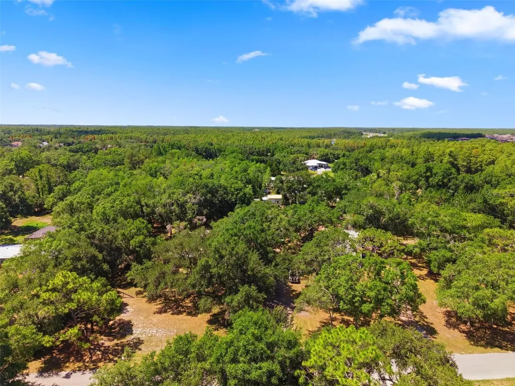17214 Chinaberry Road Lutz FL 33558