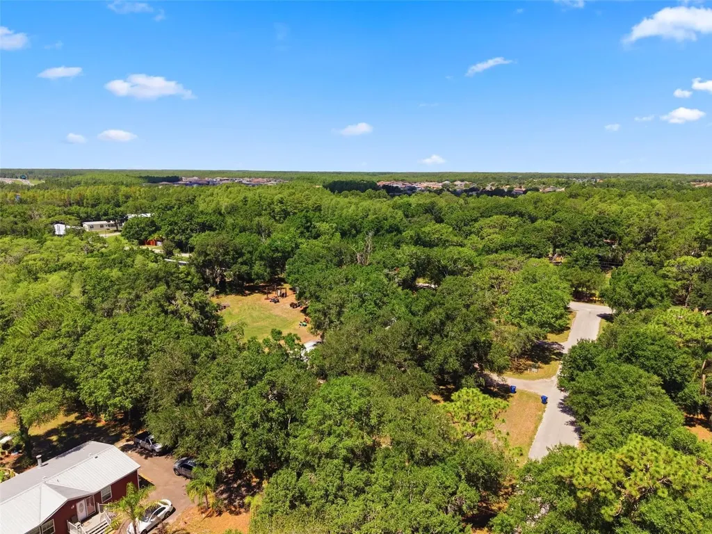 17214 Chinaberry Road Lutz FL 33558