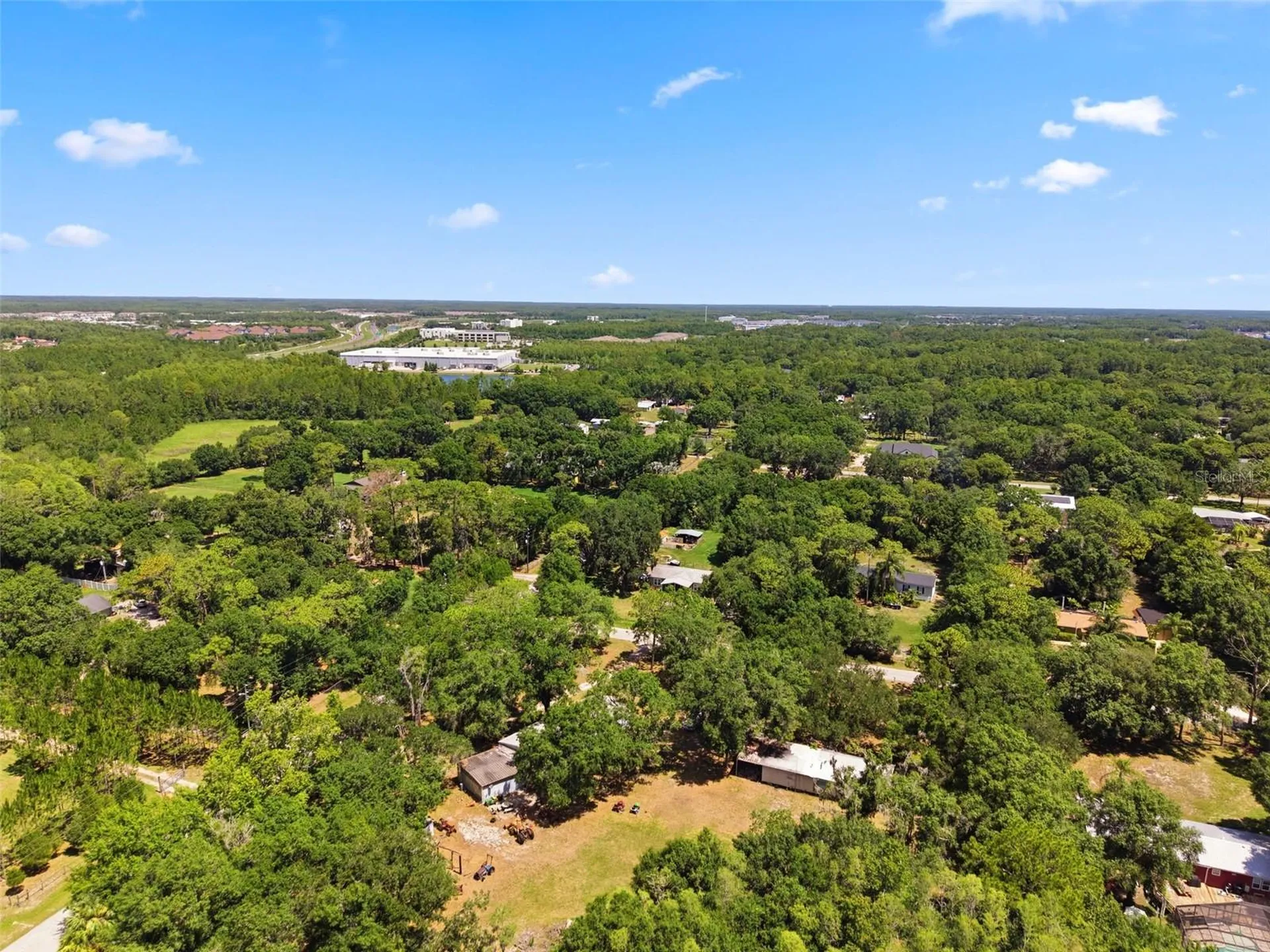 17214 Chinaberry Road Lutz FL 33558