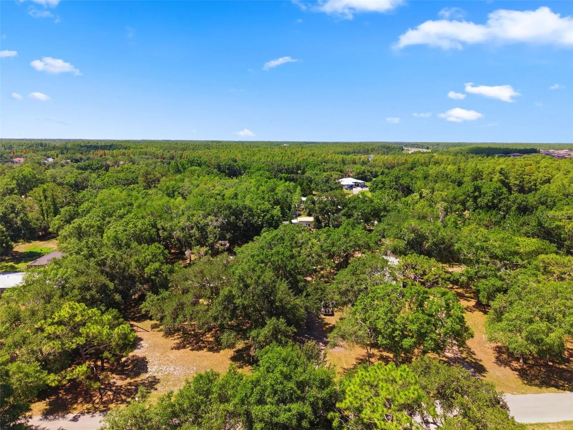 17214 Chinaberry Road Lutz FL 33558