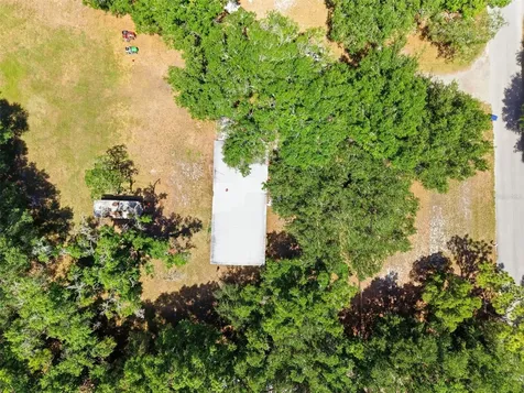 17214 Chinaberry Road Lutz FL 33558