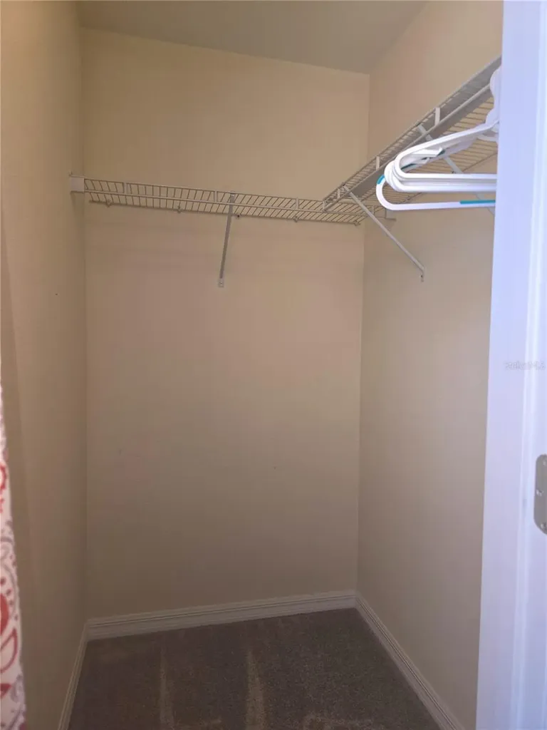31142 Gossamer Way Wesley Chapel FL 33543