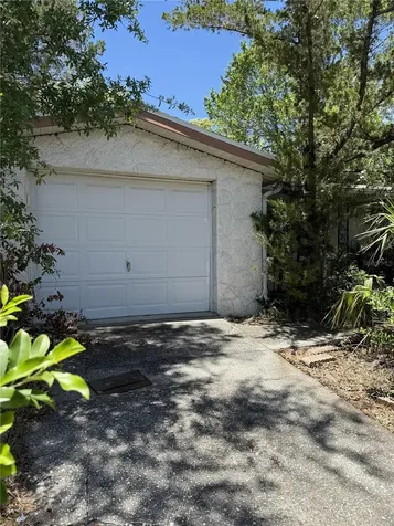 9401 Gray Fox Lane Port Richey FL 34668