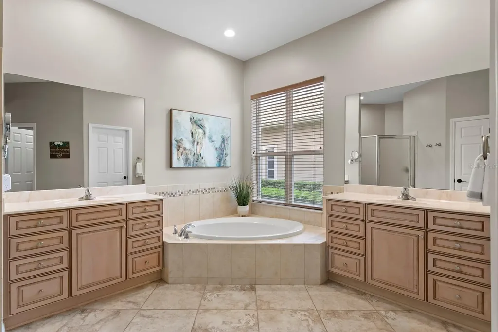 14519 Mirasol Manor Court Tampa FL 33626