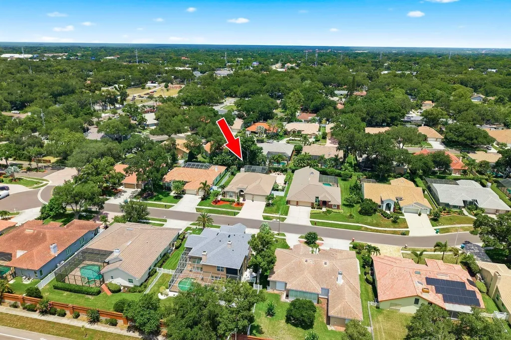 141 Old Oak Circle Palm Harbor FL 34683