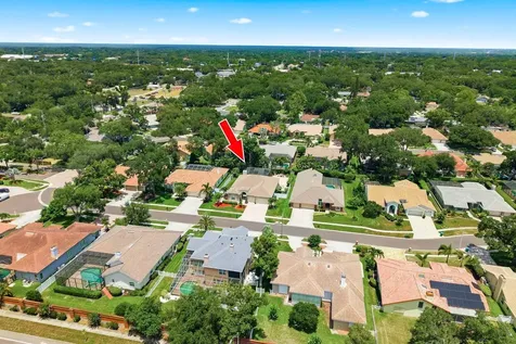 141 Old Oak Circle Palm Harbor FL 34683