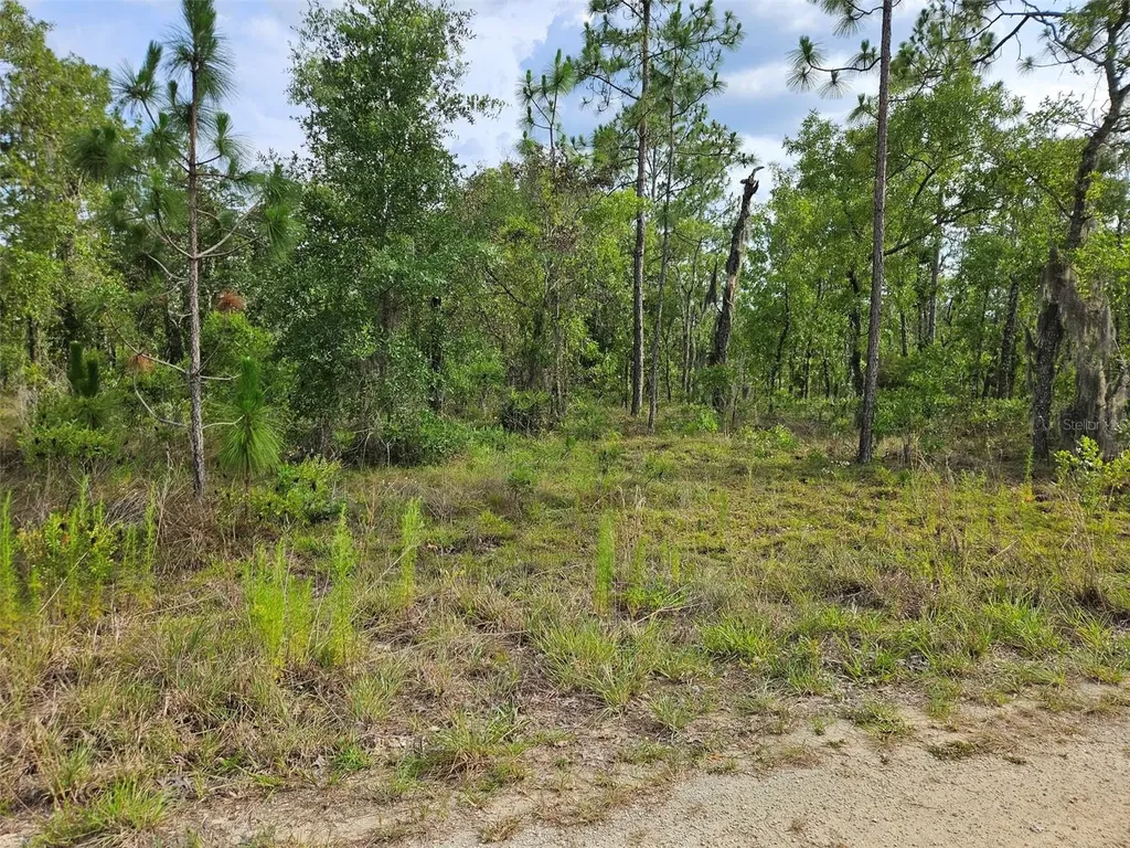 Tbd NE 12th Lane Williston FL 32696