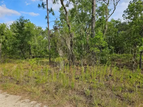 Tbd NE 12th Lane Williston FL 32696