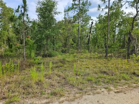 Tbd NE 12th Lane Williston FL 32696