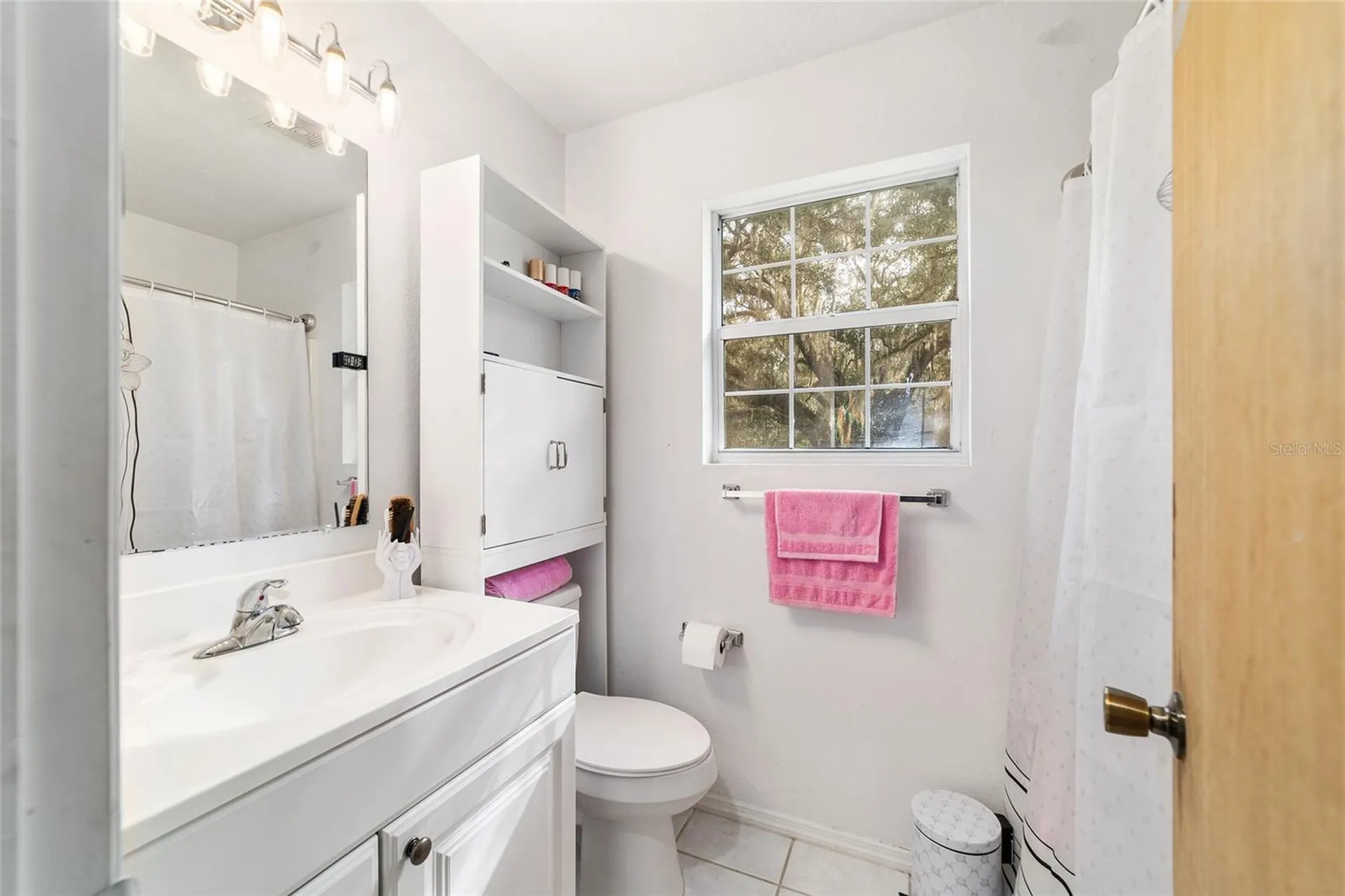 17975 NW 160th Avenue Williston FL 32696