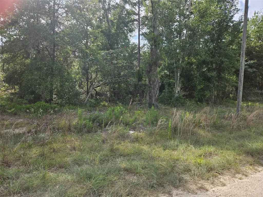 Tbd NE 153rd Avenue Williston FL 32696