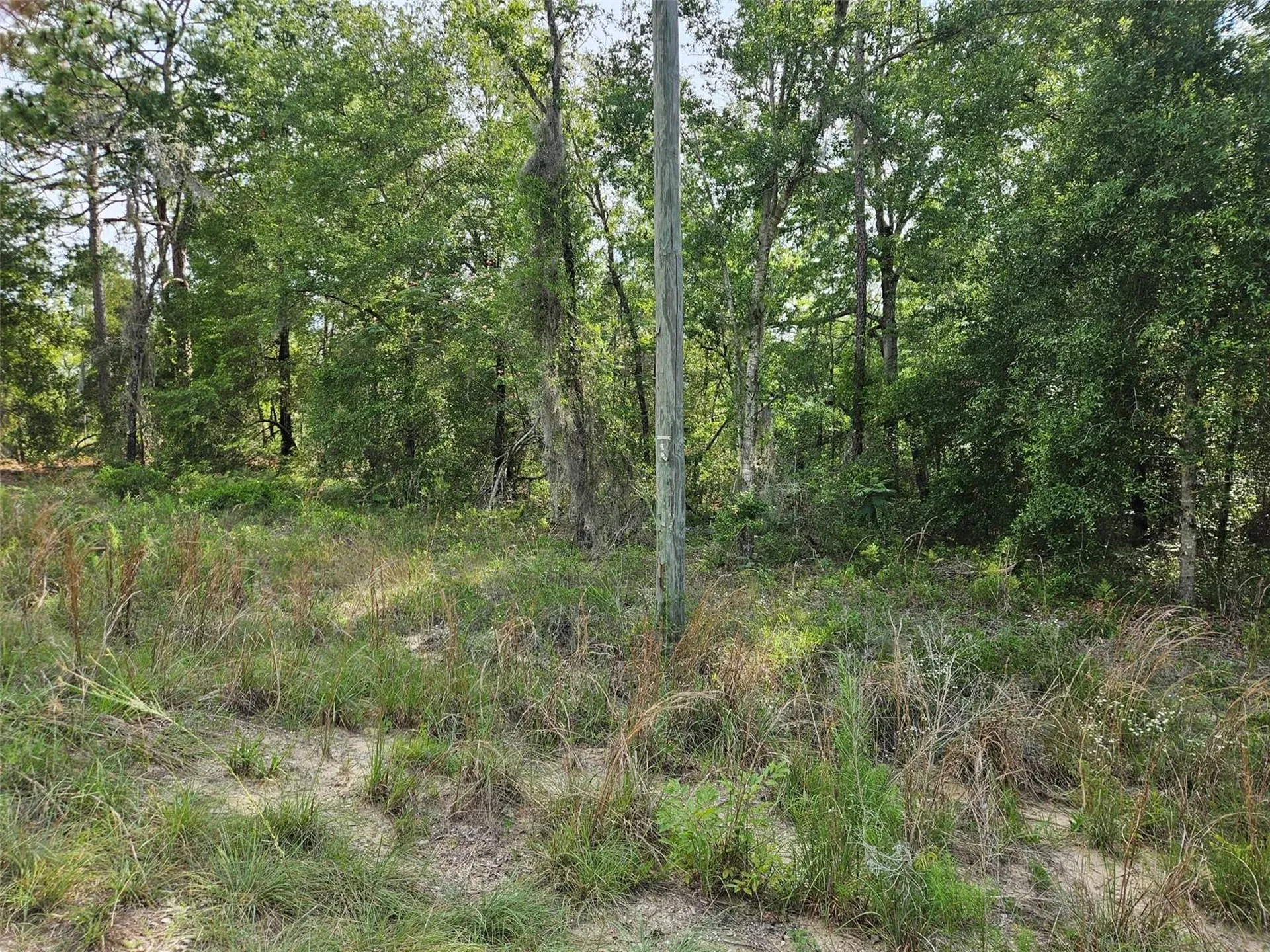 Tbd NE 153rd Avenue Williston FL 32696