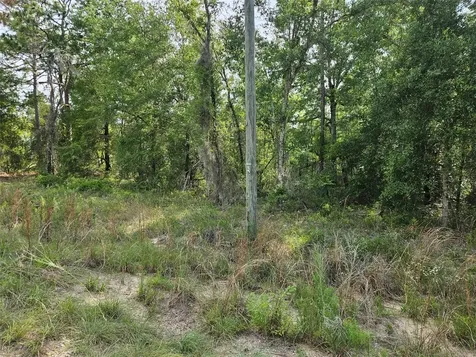 Tbd NE 153rd Avenue Williston FL 32696