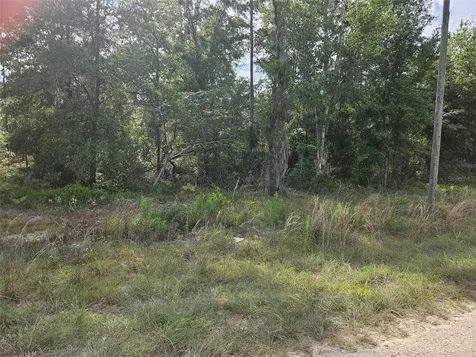 Tbd NE 153rd Avenue Williston FL 32696