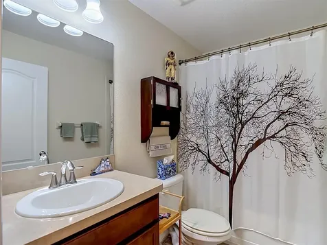 9838 Trumpet Vine Loop Trinity FL 34655