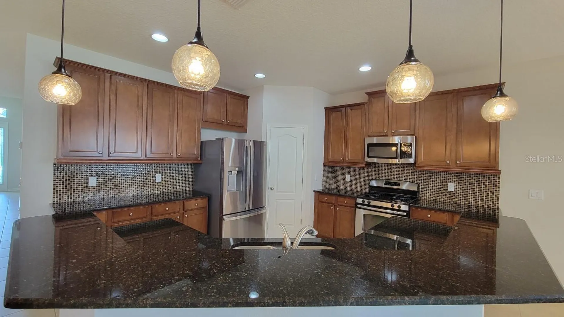 2229 Valterra Vista Way Valrico FL 33594