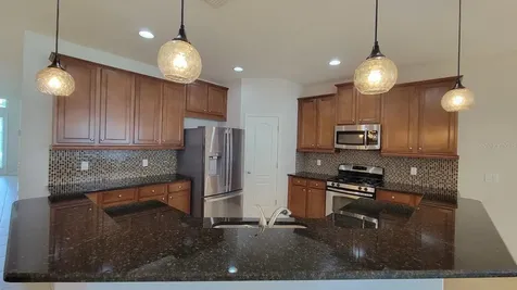 2229 Valterra Vista Way Valrico FL 33594