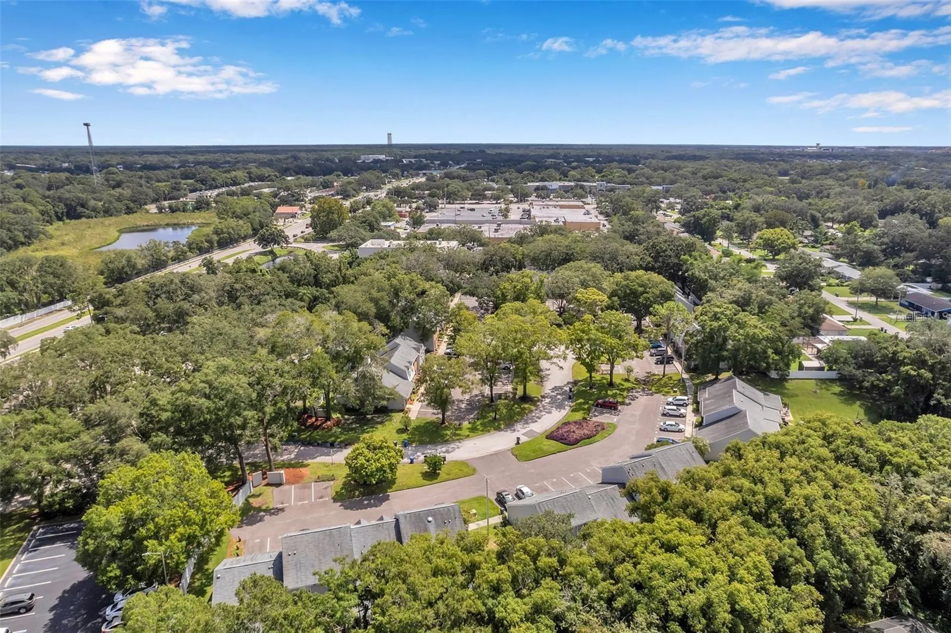 14809 Winding Creek Court Tampa FL 33613