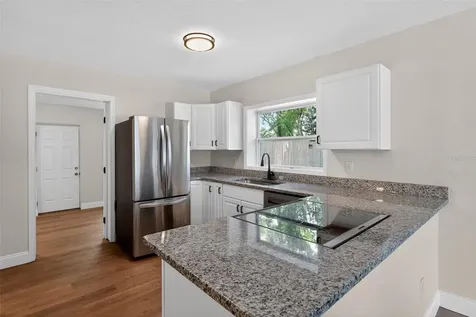 6310 Belle Isles Drive Groveland FL 34736