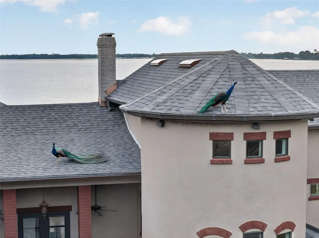 6118 Dora Drive Mount Dora FL 32757