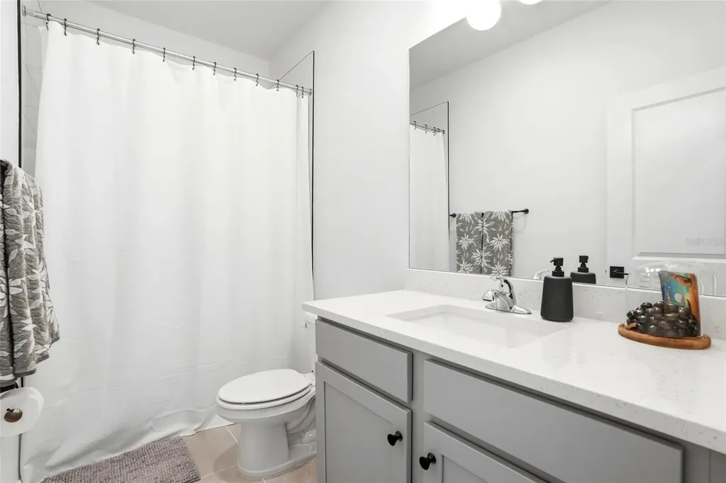 28945 Orange Berry Drive Wesley Chapel FL 33543