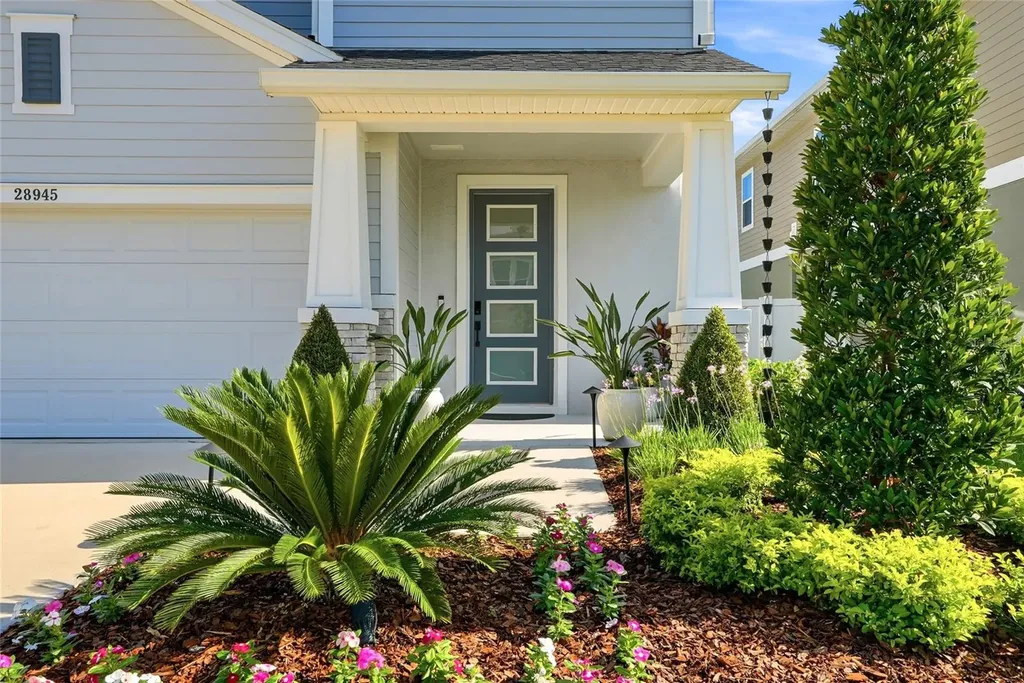 28945 Orange Berry Drive Wesley Chapel FL 33543