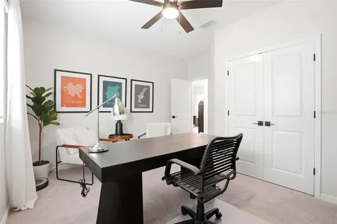 28945 Orange Berry Drive Wesley Chapel FL 33543