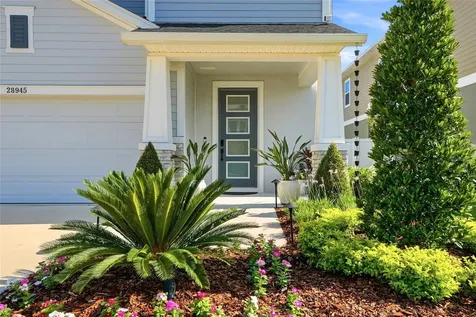 28945 Orange Berry Drive Wesley Chapel FL 33543