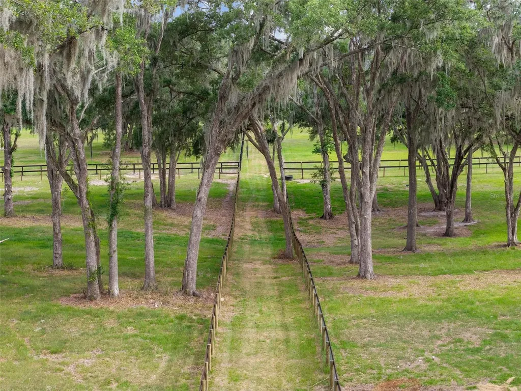 11140 NW 160th Avenue Morriston FL 32668
