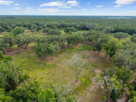 11140 NW 160th Avenue Morriston FL 32668