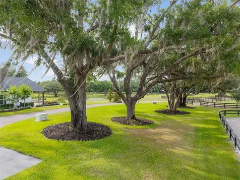 11140 NW 160th Avenue Morriston FL 32668
