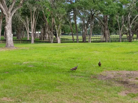 11140 NW 160th Avenue Morriston FL 32668