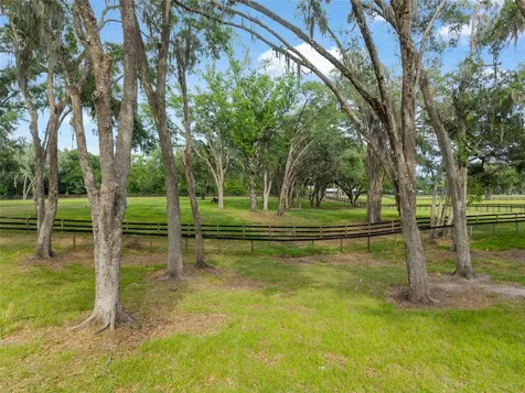 11140 NW 160th Avenue Morriston FL 32668