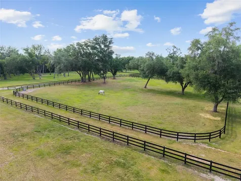 11140 NW 160th Avenue Morriston FL 32668