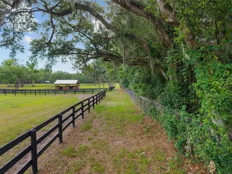 11140 NW 160th Avenue Morriston FL 32668