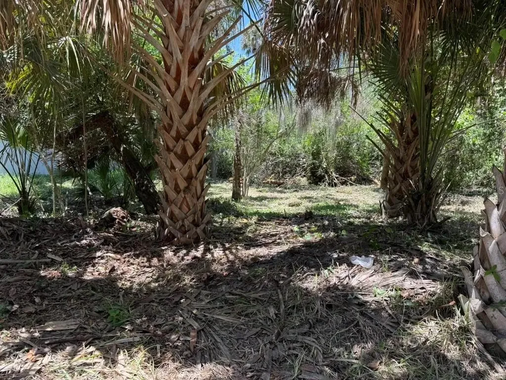 110 Oak Street Flagler Beach FL 32136